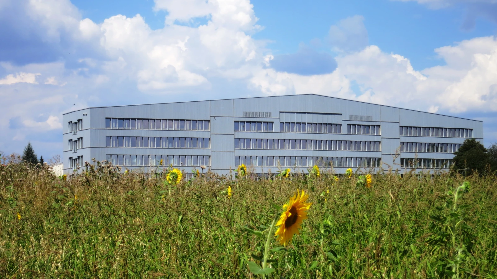 dienstleistungszentrum-lenting.webp